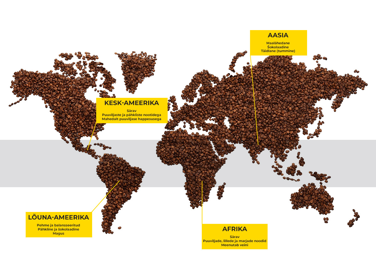 Kohvi piirkonnad