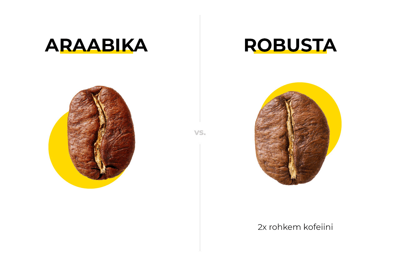 Arabika robusta